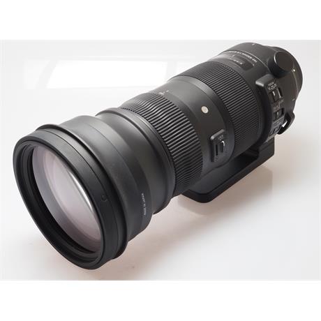 Sigma 150-600mm F5-6.3 DG OS HSM Sport  - Cano thumbnail