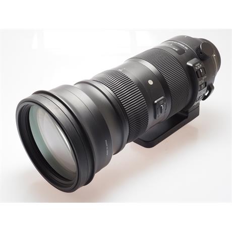 Sigma 150-600mm F5-6.3 DG OS HSM Sport  - Cano thumbnail