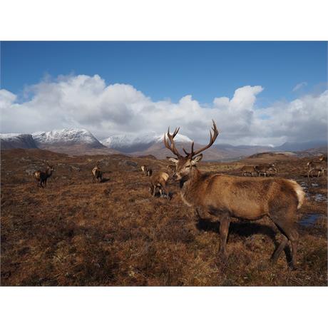 Ffordes Workshop - A View from the Top thumbnail