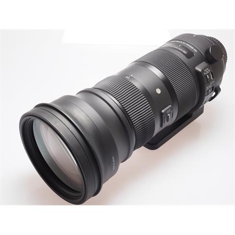 Sigma 150-600mm F5-6.3 DG OS HSM Sport + TC1401 - Canon thumbnail