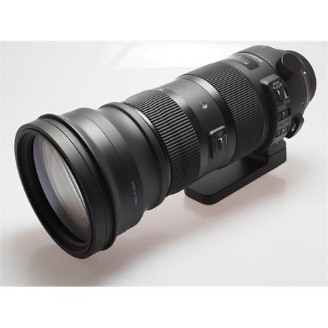 Sigma 150-600mm F5-6.3 DG OS HSM Sport + TC140 thumbnail