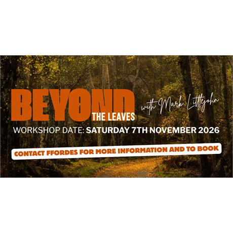 Other - Beyond the leaves with Mark Littlejohn thumbnail